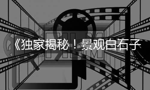 黄沙市场清江鱼价格、黄沙市场和霞山市场、黄沙市场压实线、乌石黄沙市场