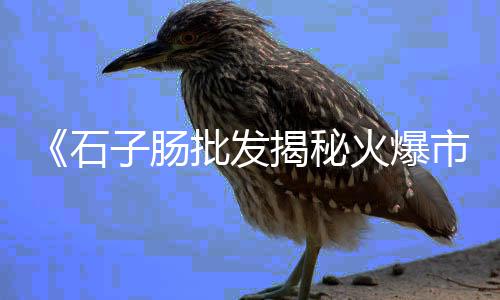 黄沙的价格怎么会高、黄沙加油站价格最低、太原黄沙打包机价格图片、临桂黄沙瑶族乡民宿价格