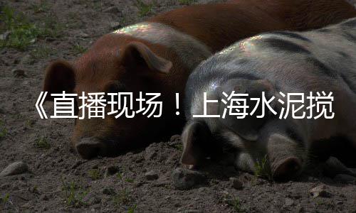 贵阳水泥围墙批发市场、水泥黄沙市场行情、水泥销售端市场分析、甘肃水泥批发市场