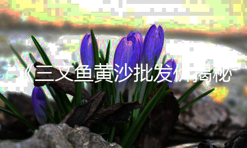 甘肃水泥仓价格表、水泥新村停车位价格、肇庆仿木水泥栏杆价格、三明水泥盖板价格