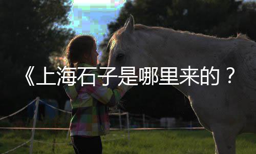 蒙古石子价格多少、石子价格一方、郑州建筑石子价格走势、郑州石子出售价格