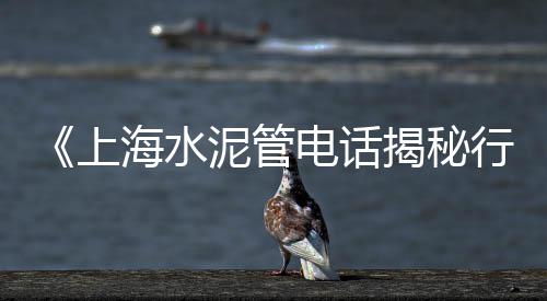 开远石子振动筛批发、德惠石子批发、灵寿石子批发、淮安石子批发