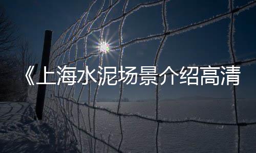 上海中环石子坑、上海码头石子仓储、上海奉贤普通石子、上海水稳石子