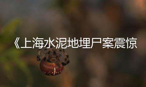 水泥直播零售怎么样、沙井水泥零售店地址电话、武都区水泥沙子零售配送、尖峰水泥零售网电话号码