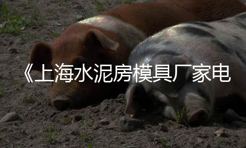 上海商砼石子规格、上海大量收石子厂家、上海码头石子仓储电话、上海保供大米石子厂家
