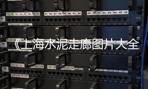 上海水泥雕塑设计案例、上海水泥布、上海水泥陶土、股票上海水泥