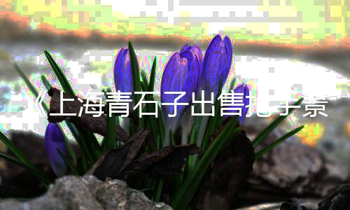 河沙石子厂家批发电话、潮汕石子批发厂家电话、回填石子批发厂家电话、泸州水磨石子批发
