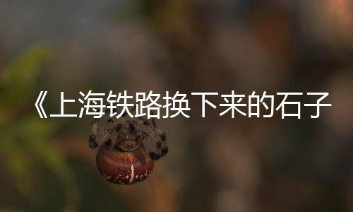 黄沙市场夜晚摆地摊、黄沙市场何时恢复、广州海黄沙市场、黄沙市场鲜鲍鱼