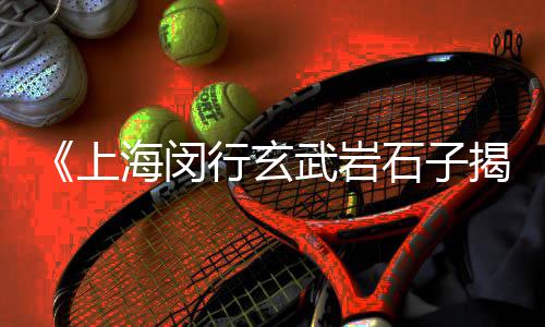 上海高钙石子的应用、上海石子路叫什么名字、彭泽县到上海船拉石子、上海冷拌石子厂家电话地址