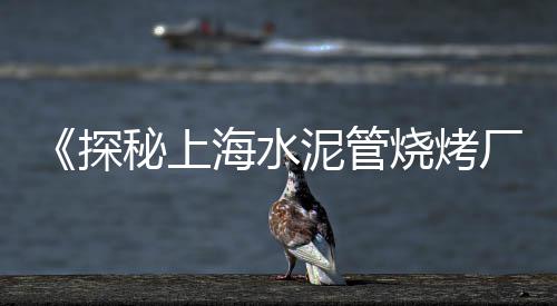 珠海黄沙批发热线、淮南水泥黄沙批发零售、黄沙河哪里有白花菜批发、广州黄沙海鲜小人仙批发