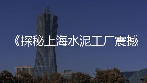天津汉沽石子零售商、柯桥石子零售配送地址、双河桥石子批发零售、濮阳石子零售地址电话查询
