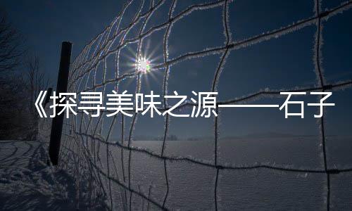 各种石子的价格、虹口区石子仓价格便宜、张家港正宗石子价格表、上海常见石子仓进货价格