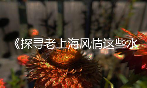 内蒙地区水泥市场行情、重庆砂石水泥市场在哪里、山东水泥市场监管处罚、水泥市场广告方案范本图
