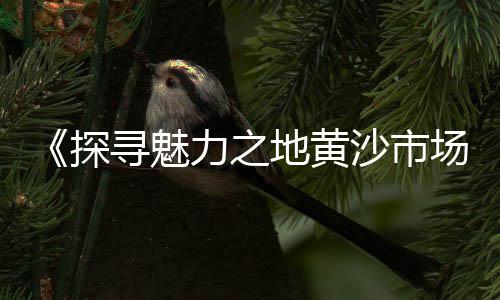 小型石子机价格、石子机价格、水磨石彩色石子价格、石子沙子价格