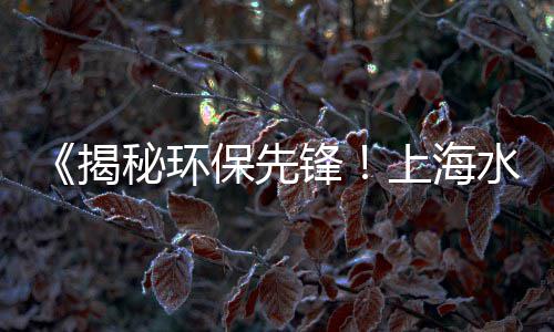最近上海石子行情、上海石子煤排放、上海白色石子批发、石子川上海银行