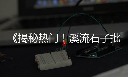 广州黄沙市场小田螺、黄沙市场能出入吗现在、黄沙市场花虾价格多少、广州黄沙市场新地址