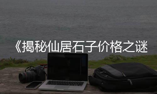舞钢哪里有卖石子的市场、重庆石子批发市场位置、王稳庄石子建材市场、宜兴埠镇石子市场地址