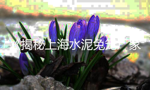 福清批发零售沙子石子水泥、天津码头批发零售石子、蒲城石子馍零售批发、平阳石子批发零售电话