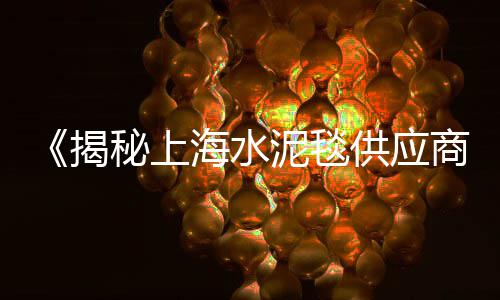 上海再生石子生产设备、上海宝山做再生石子场地、白石子哪里有卖上海、上海正规石子仓进货价