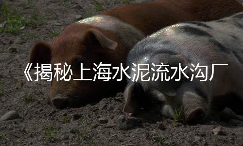 黄沙市场基围虾批发、广州黄沙市场鱼价、绍兴市区黄沙市场、黄沙市场怎么批发衣服