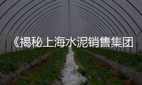 上海到崇明黄沙岛轮渡时刻表、上海市虹桥水泥黄沙厂家、上海扛水泥黄沙上两楼、上海黄沙什么地方来的