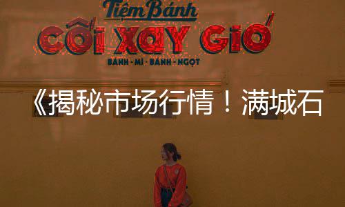 小石子村有没有灯具市场、金义新区石子批发市场在哪里、武穴市黄沙石子批发市场、安吉水磨石石子批发市场
