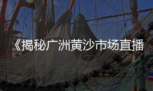 贵州水泥制品漆价格、襄阳纳米微水泥行情价格、散装水泥装载机价格、肇庆水泥井盖价格及图片