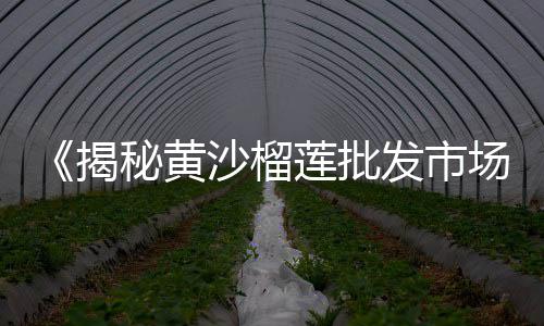 广东蛋黄沙零售、句容水泥黄沙批发零售、水泥黄沙砖头批发零售、台州水泥黄沙批发零售