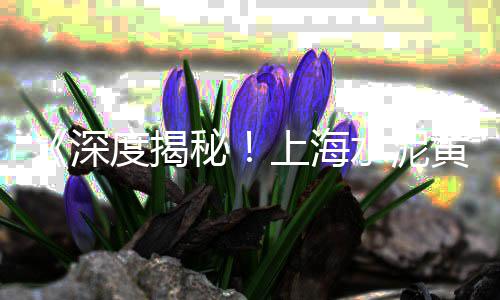 聊城批发白水泥在哪、孝感水泥隔油池批发、水泥批发 厂家电话、开江水泥批发厂