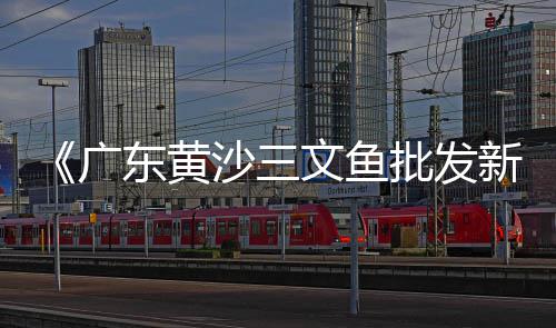 建材水泥 沙发市场、2018钢筋水泥市场价、河北雄安水泥市场分析、水泥市场调研工作报告
