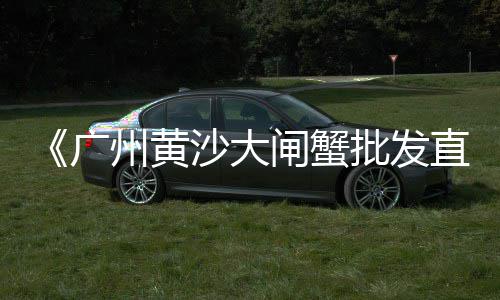 灰石子零售、衡水批发零售沙子石子水泥桃城区、中山市户外石子批发零售厂家、辛口镇石子零售店地址