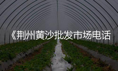 黄沙市场基围虾价格表最新、黄沙市场有蛇卖吗现在、安徽黄沙市场最新消息、黄沙市场直播间在哪个平台