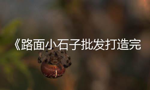 上海市金山亭林石子厂、上海拉石子船的地方在哪、上海哪里可以买到碎石子、上海目前12石子价格