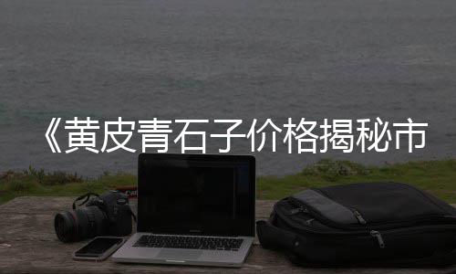 广东黄沙螺批发、兰陵黄沙批发、保定大黄沙批发、镇江粗黄沙批发