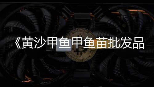 广元便宜石子批发市场地址、德庆石子批发市场在哪、招远石子原料批发市场、高桥二手石子市场在哪