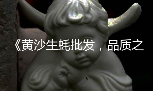 蚌埠市水泥黄沙批发零售、黄沙水产零售生蚝怎么样、黄沙海鲜零售店在哪里、月城黄沙水泥零售点在哪