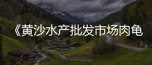 黄沙海鱼价格多少、黄沙港海鲜商品价格多少、黄沙商圈别墅出租价格多少、上海黄沙水泥配送价格表