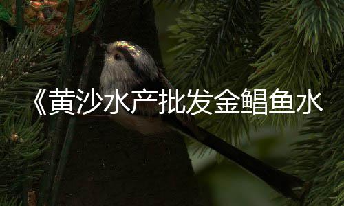 大同白石子批发厂家、诸城市白石子厂家批发、呼兰石子批发市场在哪、小石子批发0.几元的