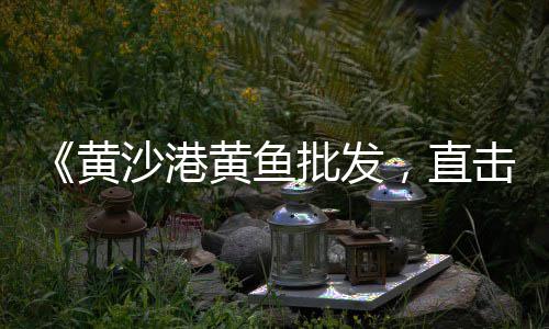 沁阳零售石子价格、鹿邑县石子百货零售店、广西北海批发零售沙子石子水泥、驻马店石子零售店在哪个位置