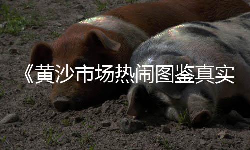 章丘黄沙水泥零售店电话、专业黄沙零售配送、零售黄沙水泥价格、从化黄沙零售运输