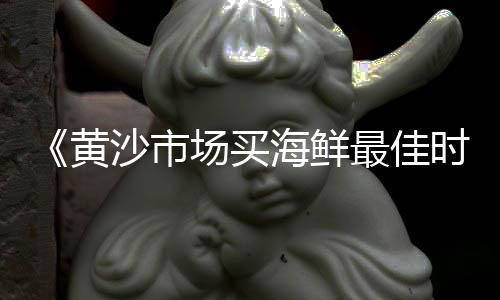 查询水泥价格、水泥碎石混合料价格、中材的罗定水泥价格、确山同力水泥价格