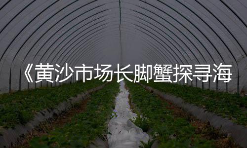 鹿泉区水泥建材市场、沈阳水泥花池批发市场、本溪水泥建材市场在哪、广州南沙水泥批发市场