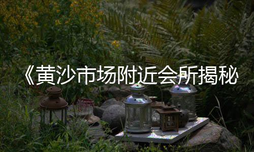 聊城搅拌站石子价格、小区石子价格是多少、江苏江阴出售石子价格、贵州兴义石子价格查询