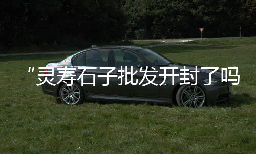周口石子零售电话、榆次修路用石子批发零售、芜湖批发零售石子店地址、商丘石子零售店地址