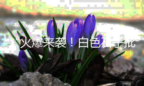 郑州墙面微水泥价格、西昌水泥制浆机价格、常州膨胀水泥价格、水泥料槽模具价格