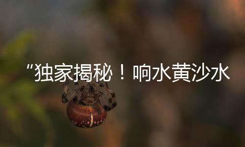兴义沙和水泥零售店在哪里、常州新北水泥零售、海口零售水泥地址、水泥沙石零售
