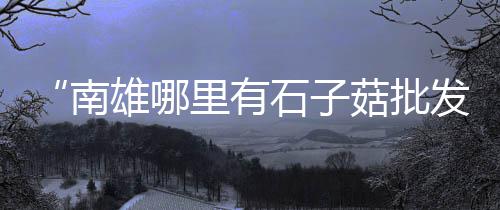城阳区灰石子厂家批发市场、石子湖公园菜市场地址、普安哪里有石子批发市场、郑州混凝土石子批发市场