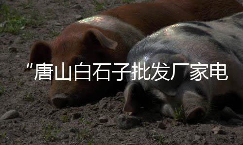 零售水泥门面名字、黄河水泥批发零售、滦南县城水泥零售、零售沙石和水泥价格对比