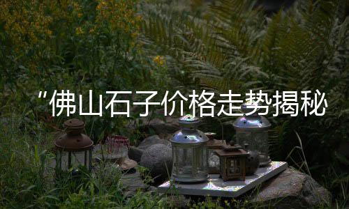 东营石子制砂机价格、宿迁石子价格、泗水石子价格、光山石子价格