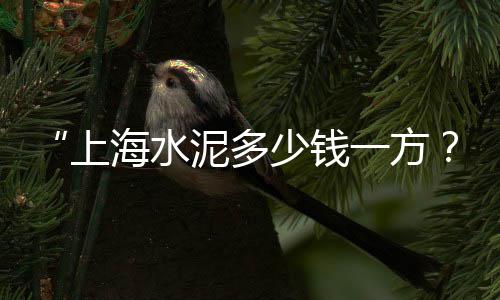 肇庆石子价格、青岛地区水洗石子价格、魏桥石子价格多少、石子铺装价格多少
